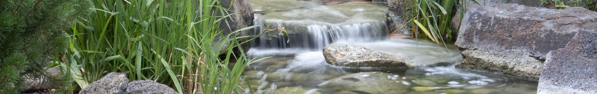 aquaculture pond stream maintenance aquaculture pond stream maintenance