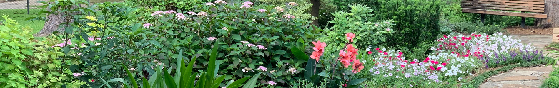 best landscaping services company bovey best landscaping services company bovey