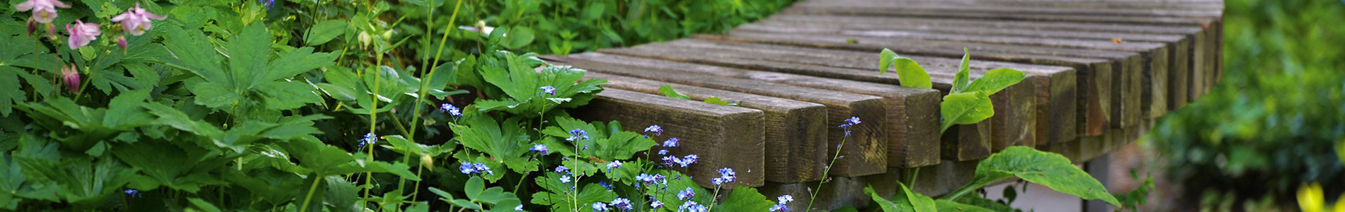 Contact Bovey landscaping and gardening services contact Bovey landscapes services