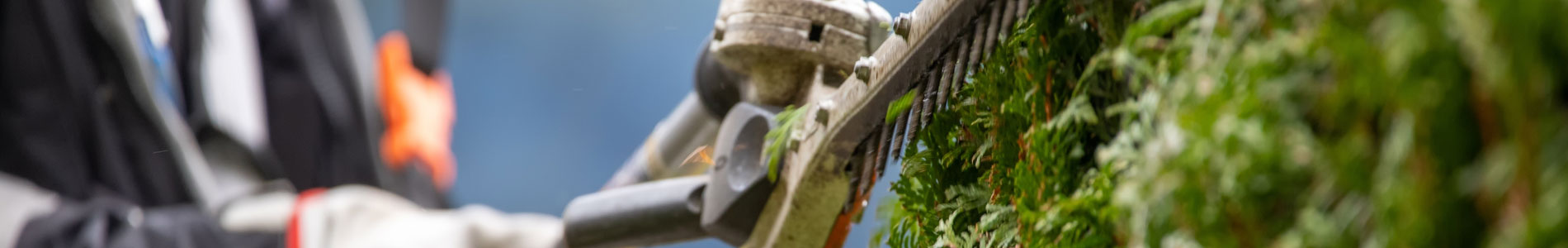 gardening services near bovey tracey teighnbridge gardening services near bovey tracey teighnbridge