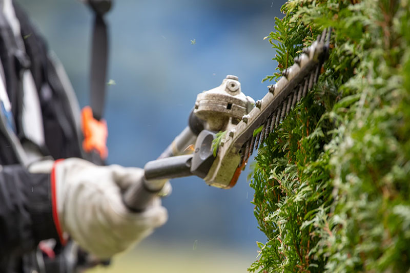 garden maintenance services teighnbridge devon
