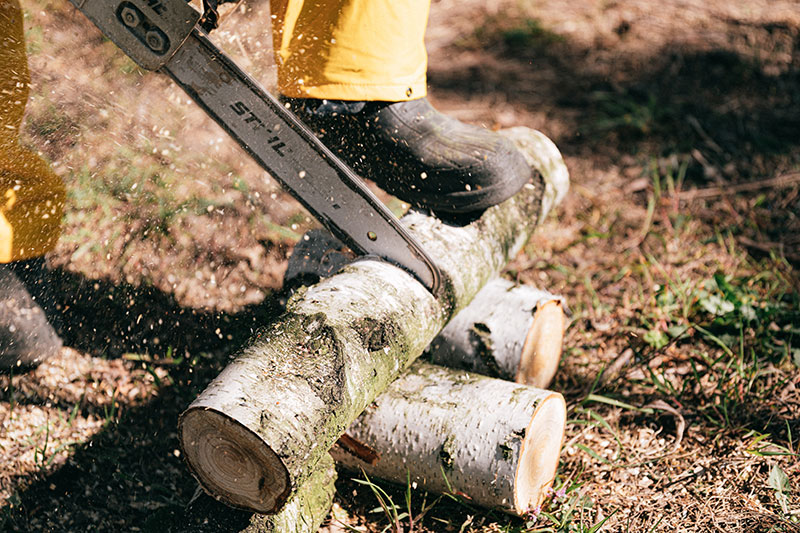 tree cutting stumping services
